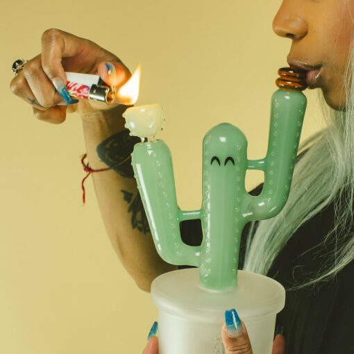 Shop Hemper Cactus Jack Bong XL in australian