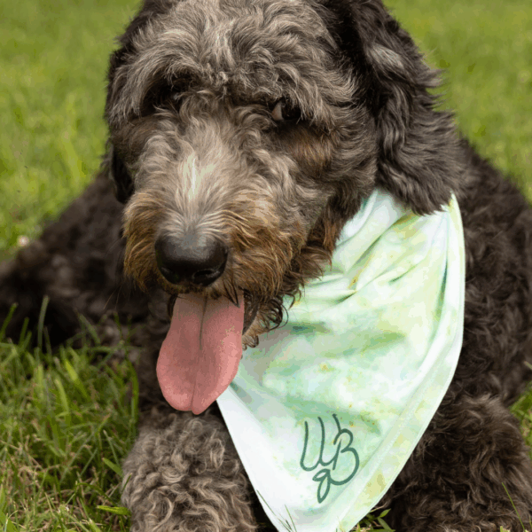Shop Tie Dye WB Bandana in australian