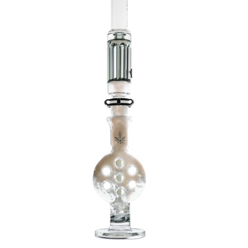 Shop Swiss Perc Bong in australian