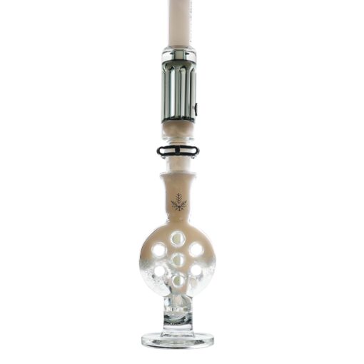 Shop Swiss Perc Bong in australian