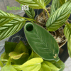 Shop Leaf Pipe in australian