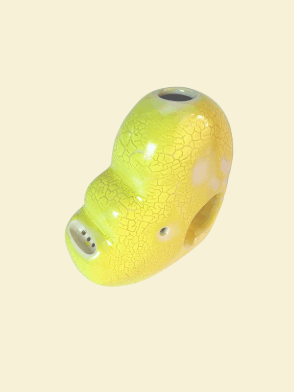 Shop Blossom Bubbler in Buttered Popcorn in australian