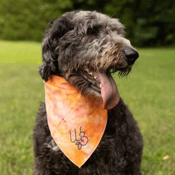 Shop Tie Dye WB Bandana in australian