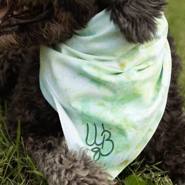 Shop Tie Dye WB Bandana in australian