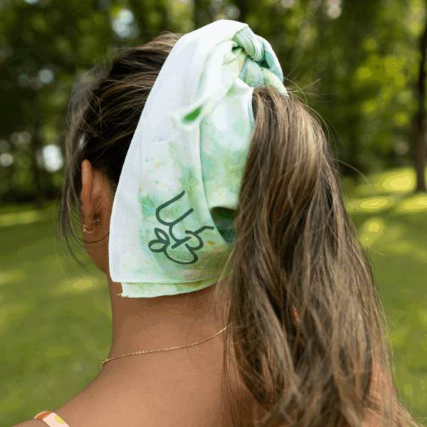 Shop Tie Dye WB Bandana in australian