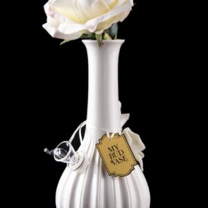 Shop My Bud Vase Rose Porcelain Vase Water Pipe in australian