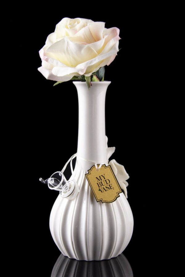 Shop My Bud Vase Rose Porcelain Vase Water Pipe in australian