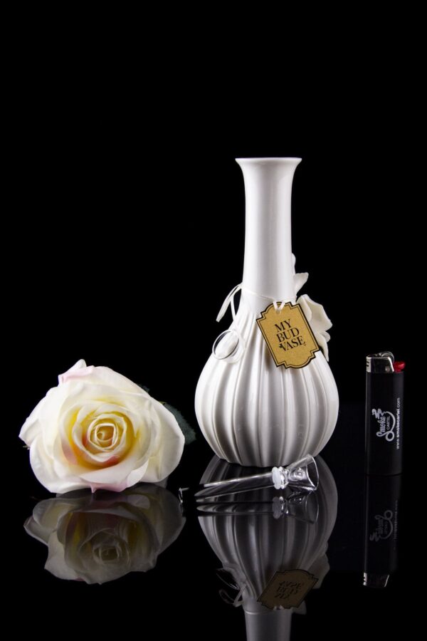 Shop My Bud Vase Rose Porcelain Vase Water Pipe in australian