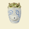 Shop Floral Plant Pipe in australian