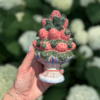 Shop Pink Berry Bubbler in australian