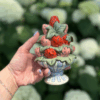 Shop Pink and Red Berry Bubbler in australian