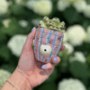 Shop Checkered Plant Pipe in australian
