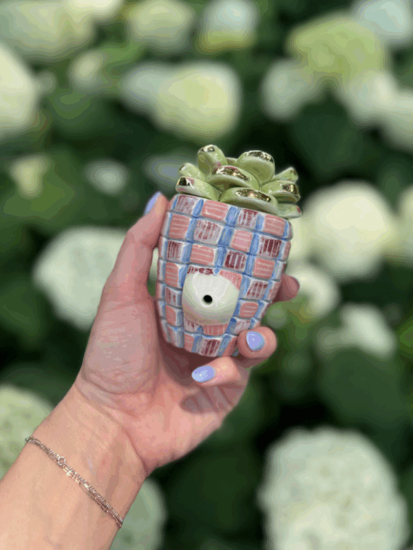 Shop Checkered Plant Pipe in australian
