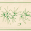 Shop Field Trip Rolling Papers in australian