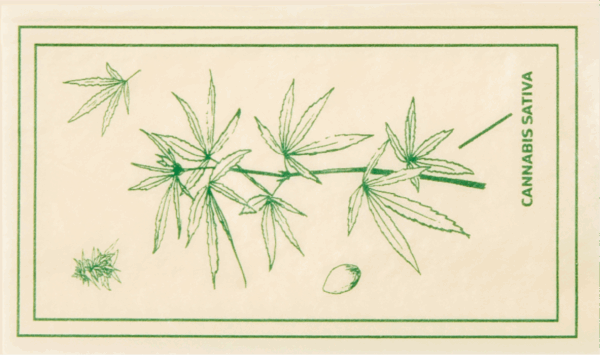 Shop Field Trip Rolling Papers in australian