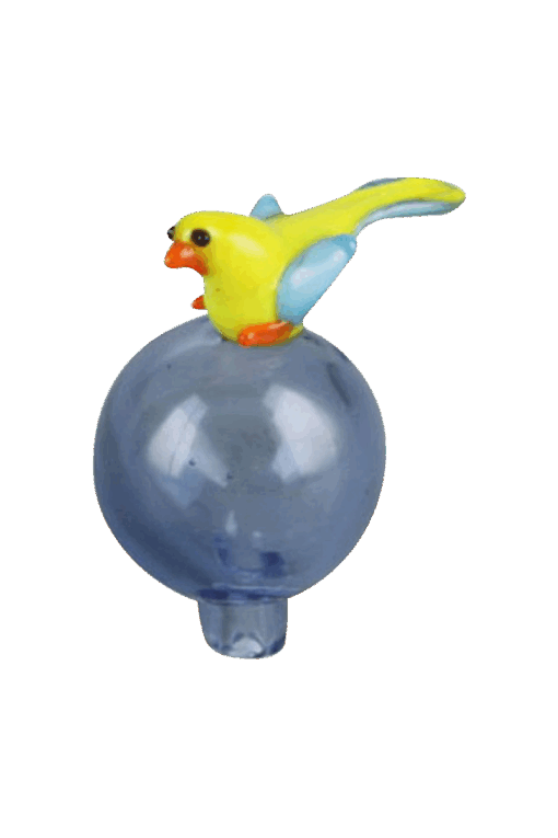 Shop Bird Bubble Carb Cap in australian