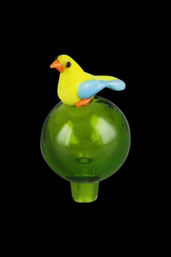 Shop Bird Bubble Carb Cap in australian