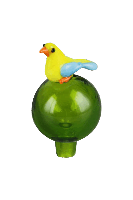 Shop Bird Bubble Carb Cap in australian