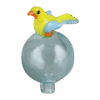 Shop Bird Bubble Carb Cap in australian