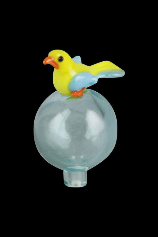 Shop Bird Bubble Carb Cap in australian