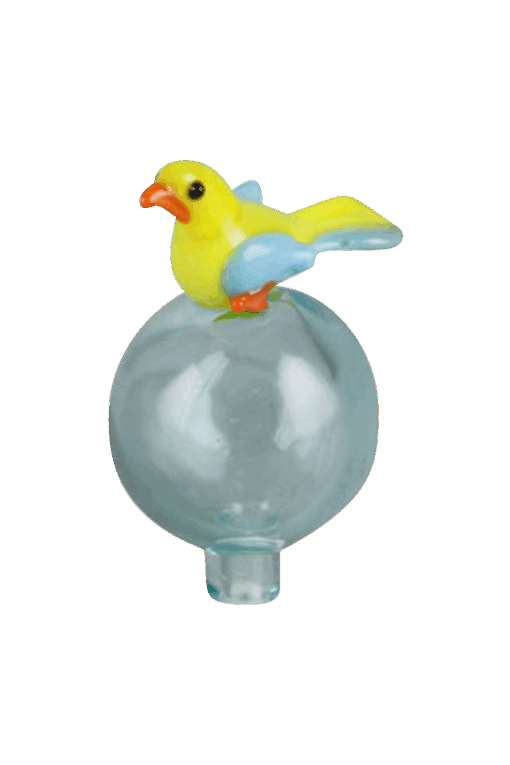 Shop Bird Bubble Carb Cap in australian