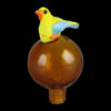 Shop Bird Bubble Carb Cap in australian
