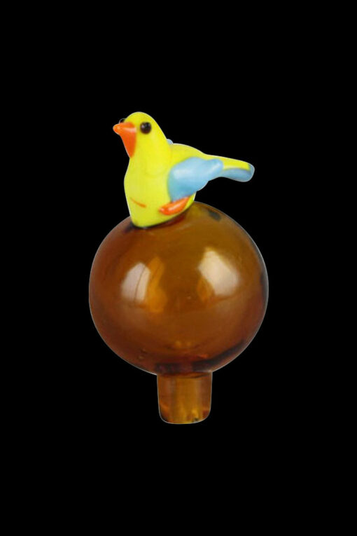 Shop Bird Bubble Carb Cap in australian