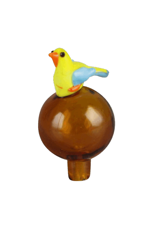 Shop Bird Bubble Carb Cap in australian