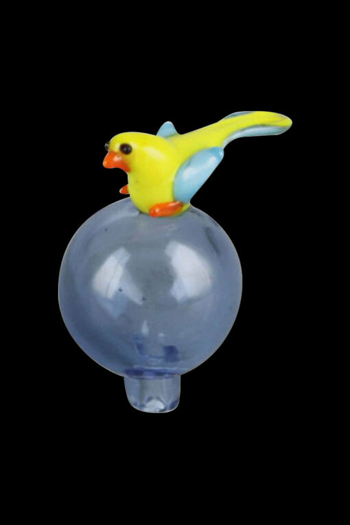 Shop Bird Bubble Carb Cap in australian