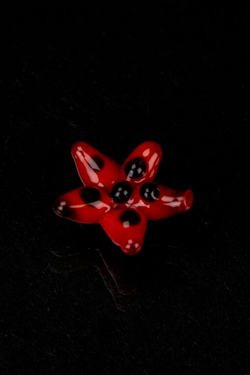 Shop Empire Glassworks Coral Reef Spinner Carb Cap in australian