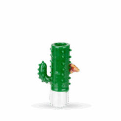 Shop Hose Tip Cactus in australian