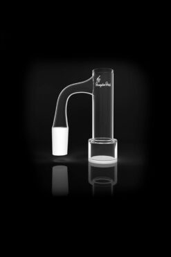 Shop Honeybee Herb Honey Boiler Quartz Banger - Black Line in australian