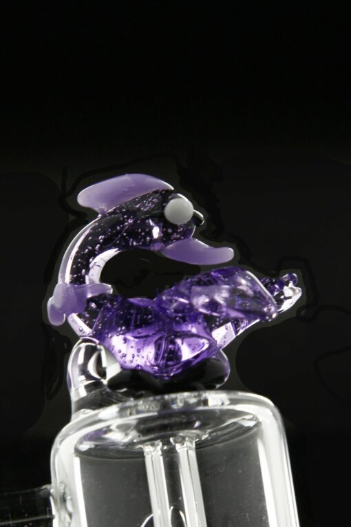 Shop Sesh Supply "Purple Stork" Banger Cap in australian