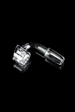 Shop Calibear Quartz Banger With Insert in australian