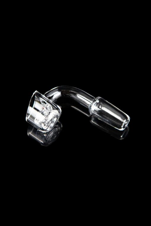 Shop Calibear Quartz Banger With Insert in australian