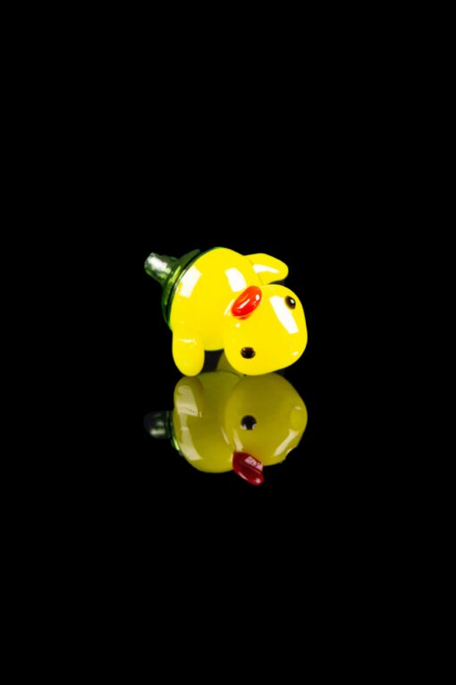 Shop Ducky Carb Cap with Colored Accents in australian
