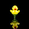 Shop Ducky Carb Cap with Colored Accents in australian