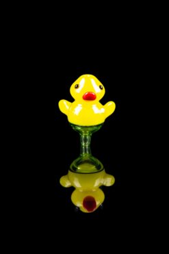 Shop Ducky Carb Cap with Colored Accents in australian