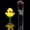 Shop Ducky Carb Cap with Colored Accents in australian