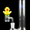 Shop Ducky Carb Cap with Colored Accents in australian