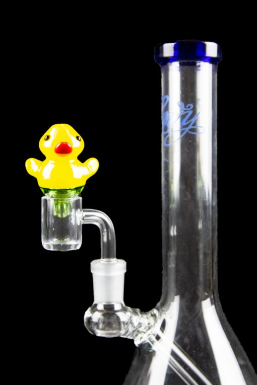 Shop Ducky Carb Cap with Colored Accents in australian