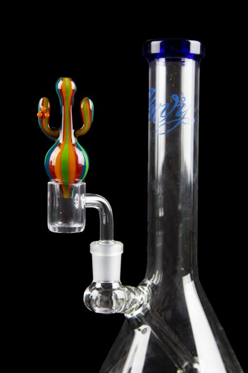 Shop Colorful Cactus Carb Cap in australian
