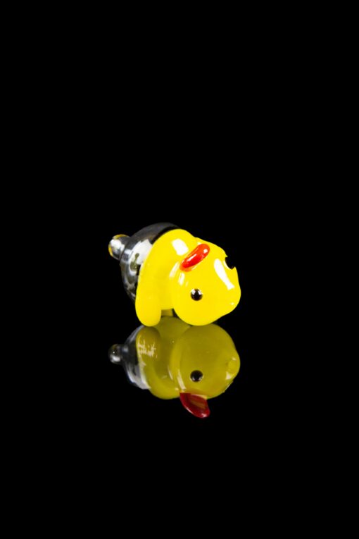Shop Ducky Carb Cap with Colored Accents in australian