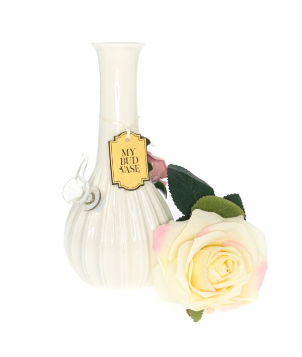 Shop My Bud Vase Rose Porcelain Vase Water Pipe in australian