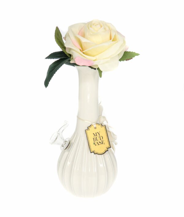 Shop My Bud Vase Rose Porcelain Vase Water Pipe in australian