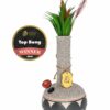 Shop My Bud Vase Water Pipe - Coyōté in australian