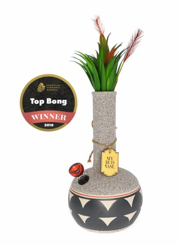 Shop My Bud Vase Water Pipe - Coyōté in australian