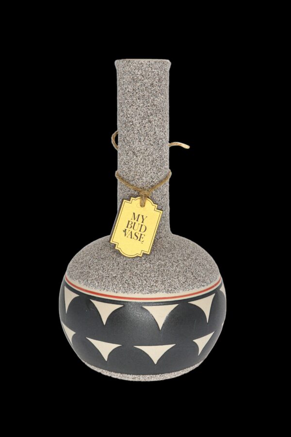 Shop My Bud Vase Water Pipe - Coyōté in australian