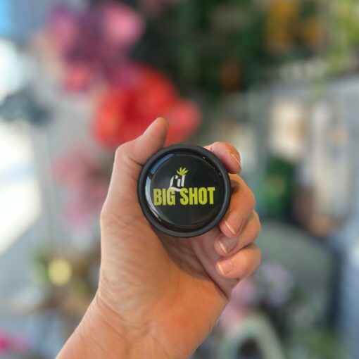 Shop Lil Big Shot Bubbler in australian