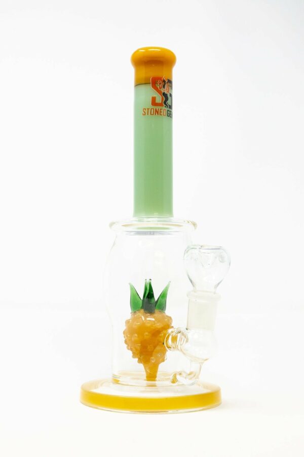 Shop 10" Premium Stoned Genie Pineapple Bong in australian